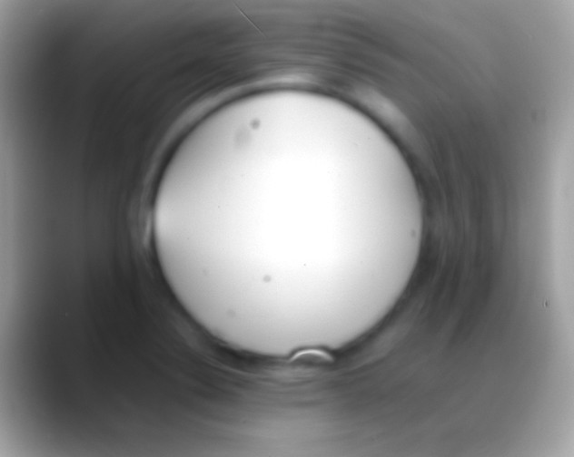 X0000088151324200706041348