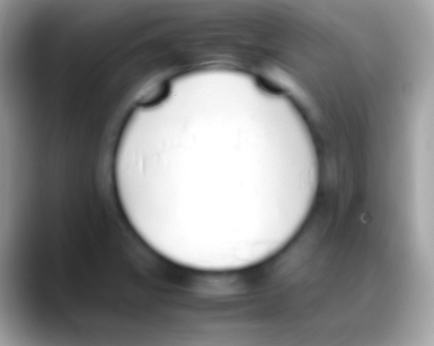 X0000088151325200706041348