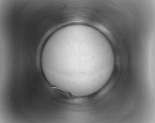 X0000088151326200706041348