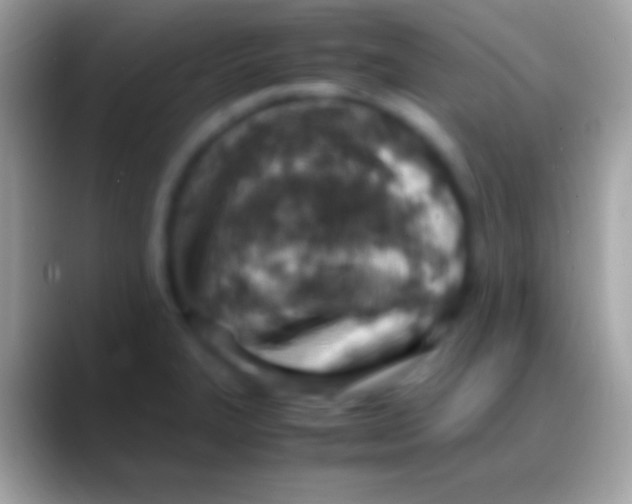 X0000088151327200706041348