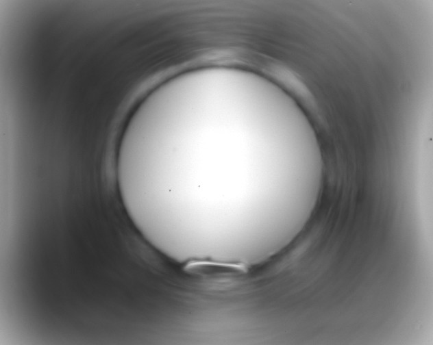 X0000088151328200706041348