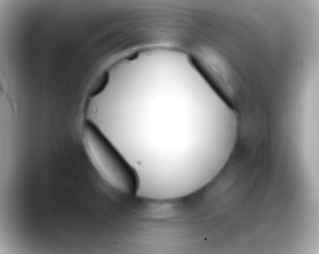 X0000088151332200706041348