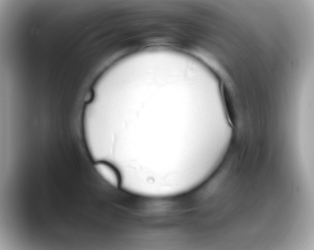 X0000088151333200706041348