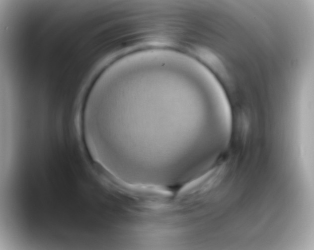 X0000088151334200706041348