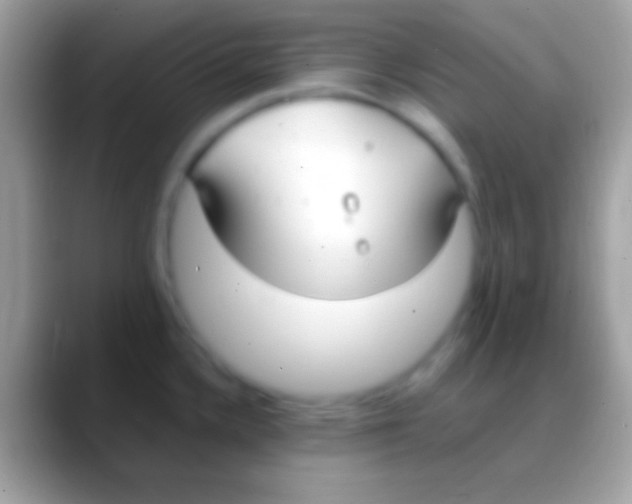 X0000088151336200706041348