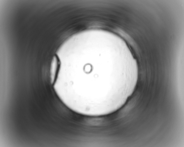 X0000088151337200706041348