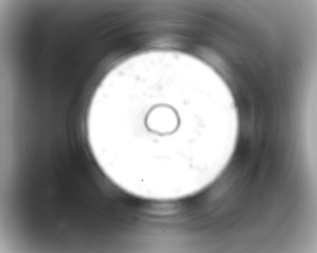 X0000088151338200706041348