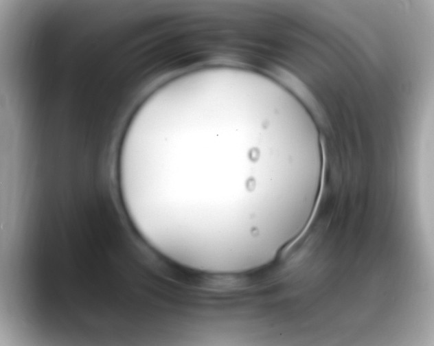 X0000088151339200706041348