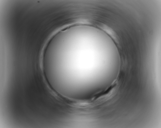 X0000088151342200706041348