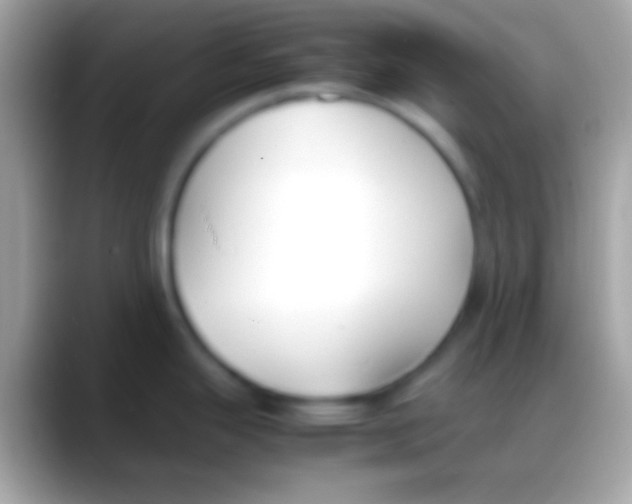 X0000088151343200706041348