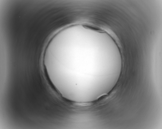 X0000088151344200706041348