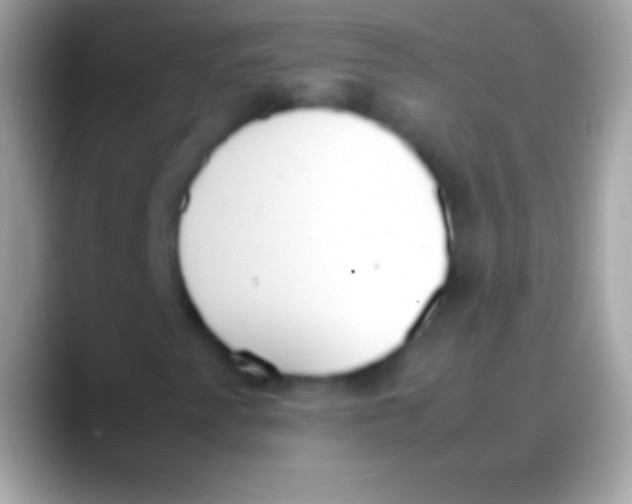 X0000088151345200706041347