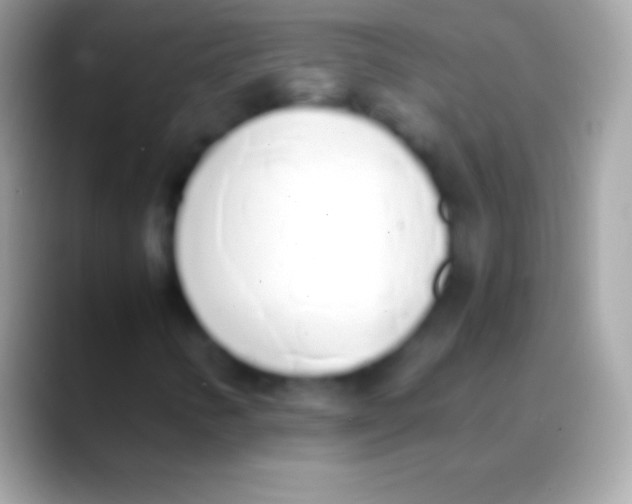 X0000088151346200706041347