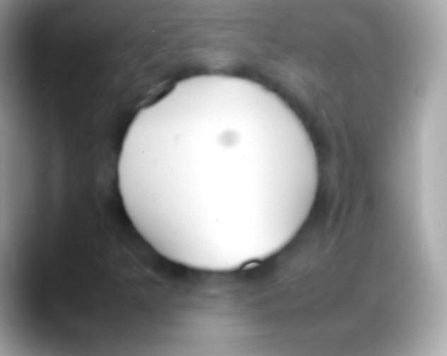 X0000088151349200706041347