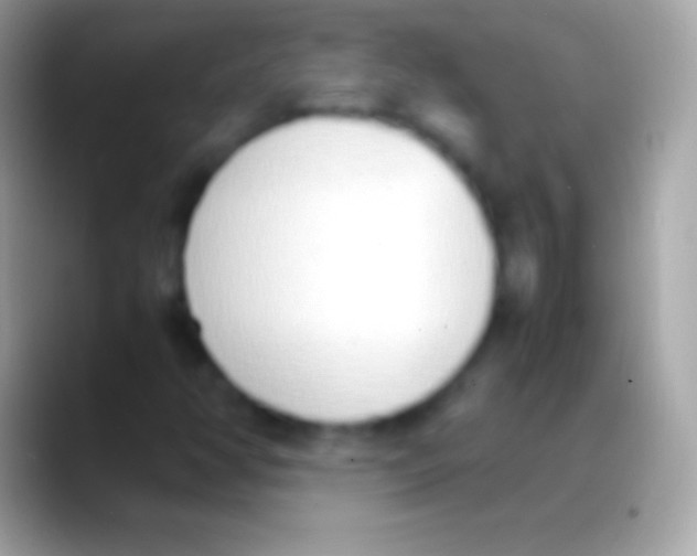 X0000088151350200706041347