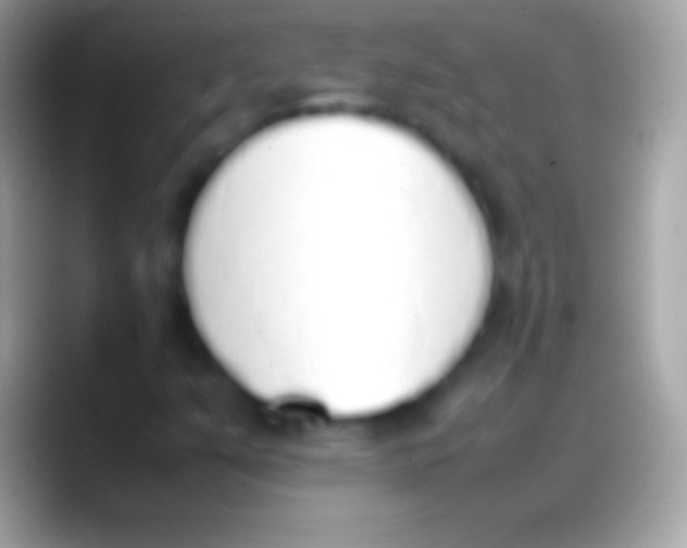 X0000088151351200706041347