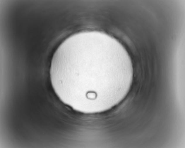 X0000088151352200706041347