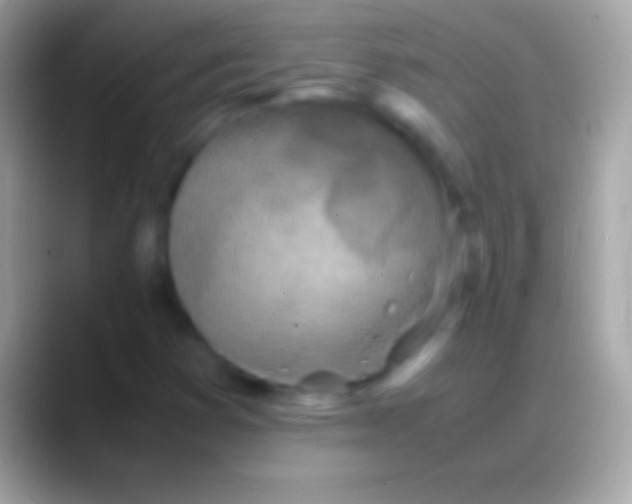 X0000088151353200706041347