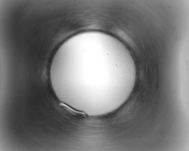 X0000088151356200706041347