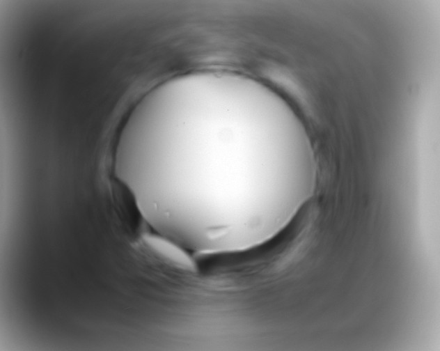 X0000088151357200706041347