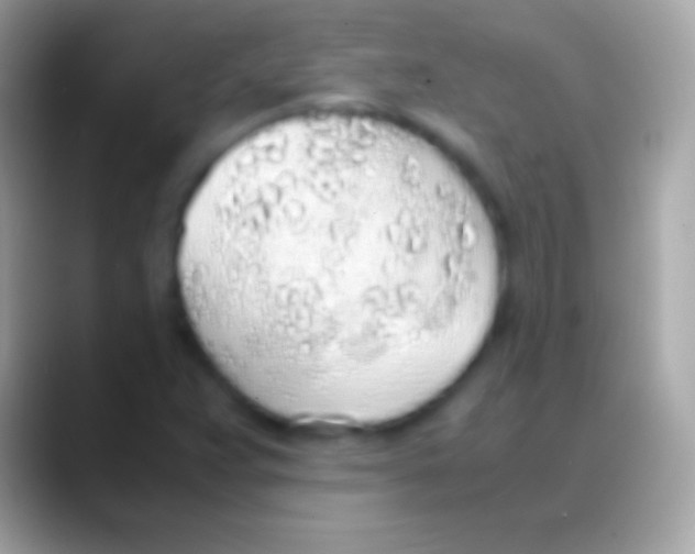 X0000088151359200706041347