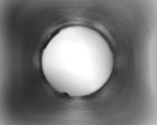 X0000088151360200706041347