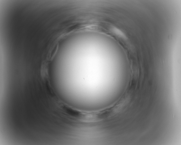 X0000088151361200706041347