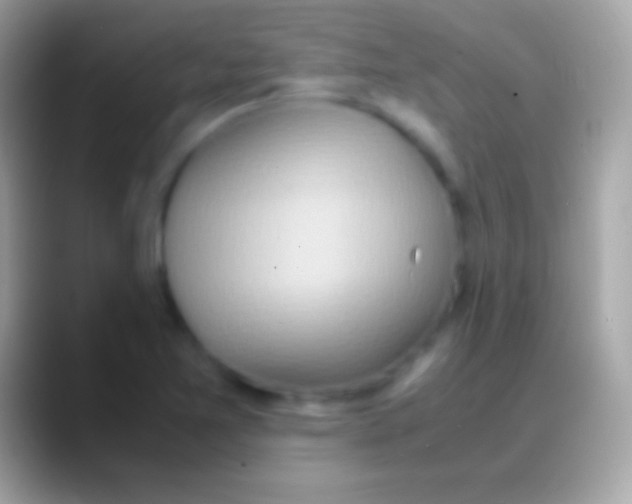 X0000088151365200706041347