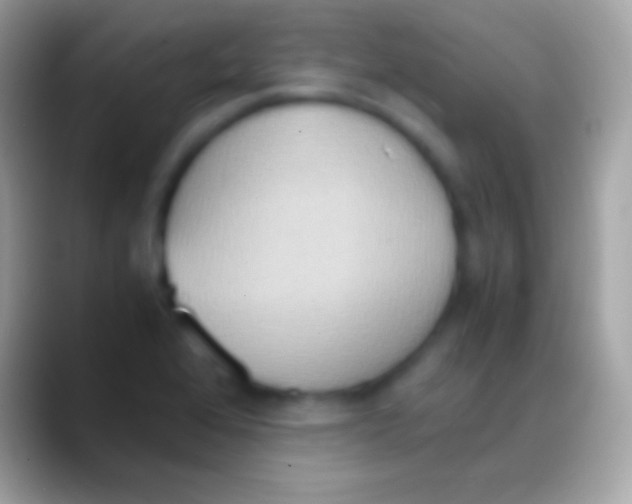 X0000088151368200706041347