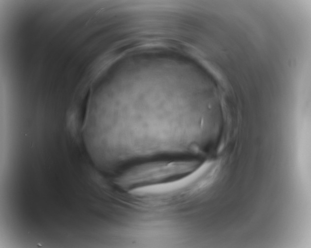 X0000088151369200706041347