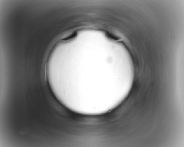 X0000088151371200706041347