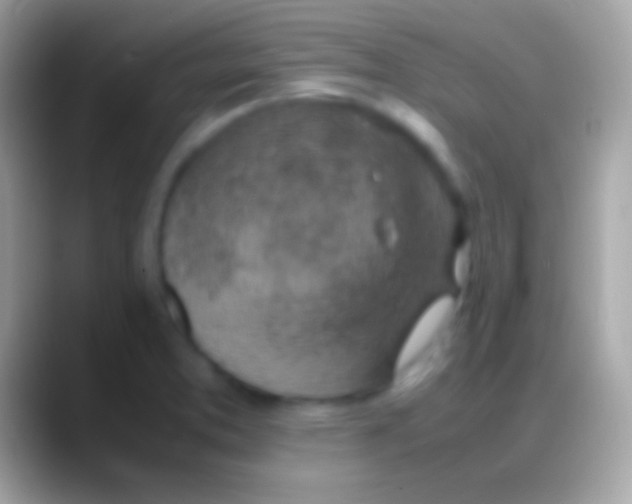 X0000088151373200706041347