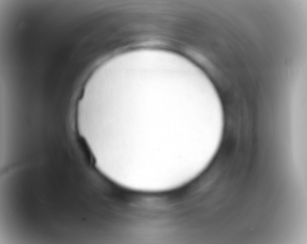 X0000088151375200706041347