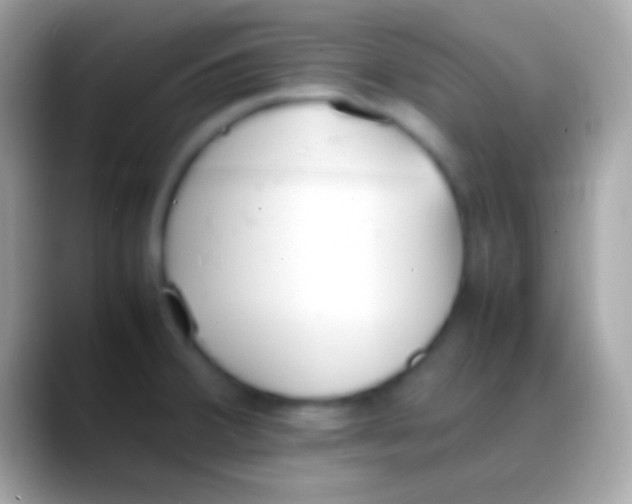 X0000088151380200706041347