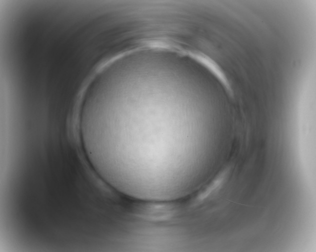 X0000088151381200706041347