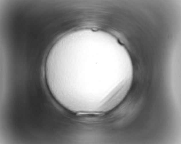 X0000088151383200706041347