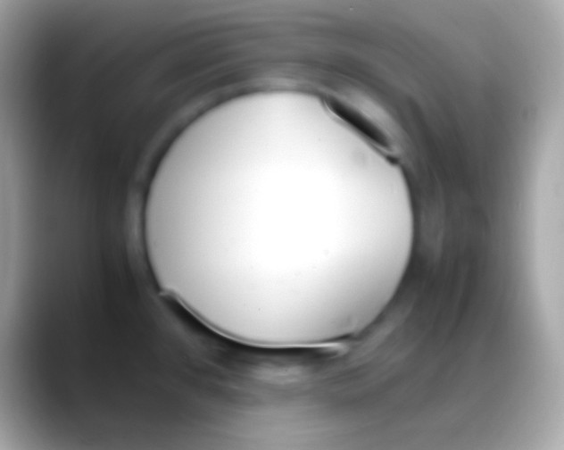 X0000088151384200706041347