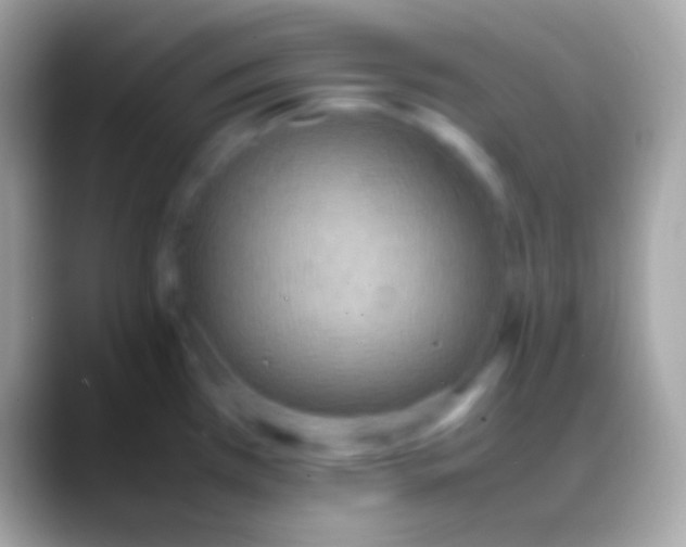 X0000088151385200706041347