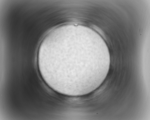 X0000088151387200706041347