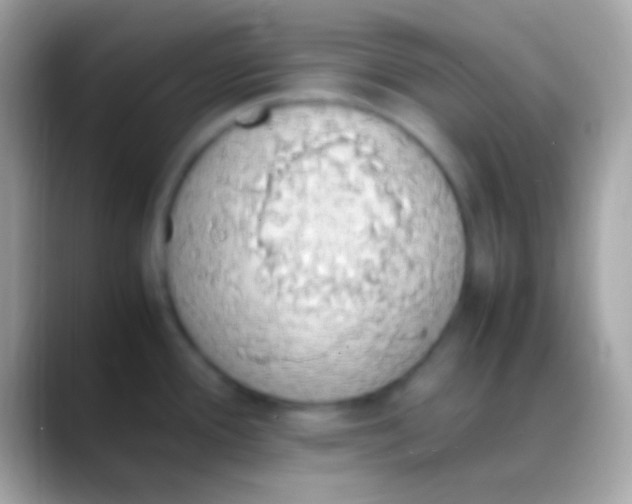 X0000088151388200706041347