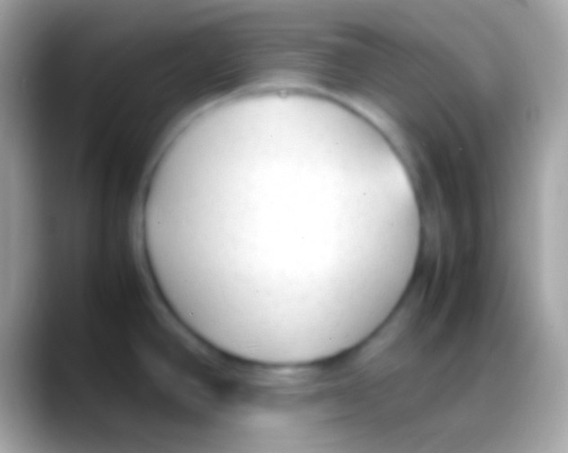 X0000088151390200706041347