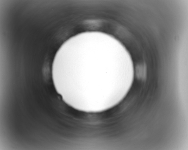 X0000088151395200706041346