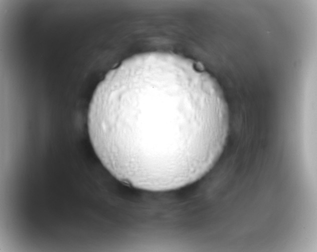 X0000088151397200706041346