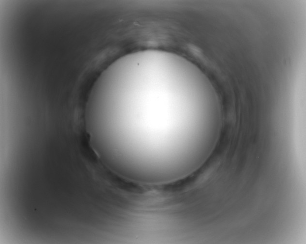 X0000088151398200706041346