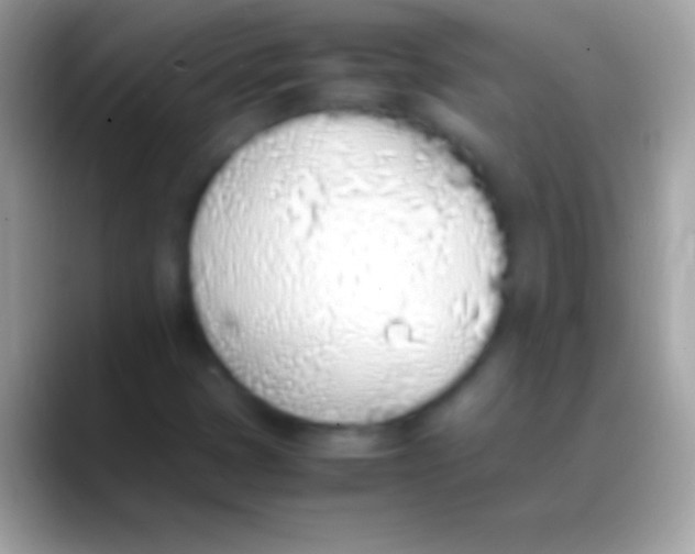 X0000088151401200706041346