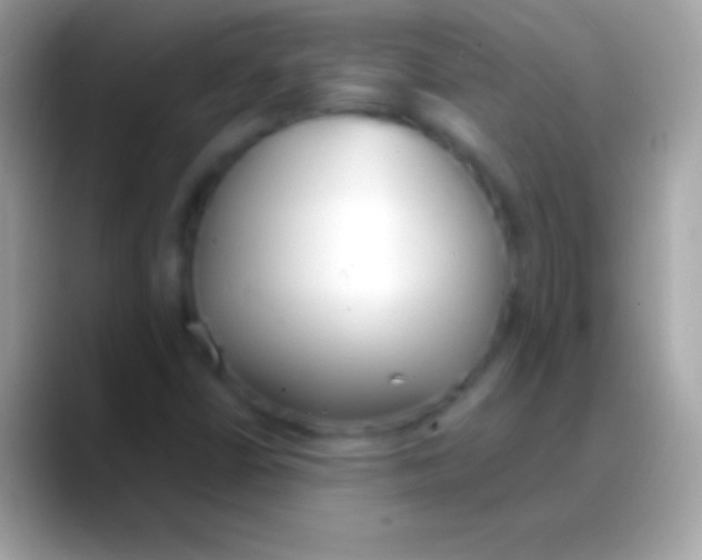 X0000088151402200706041346