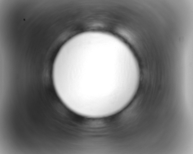 X0000088151403200706041346