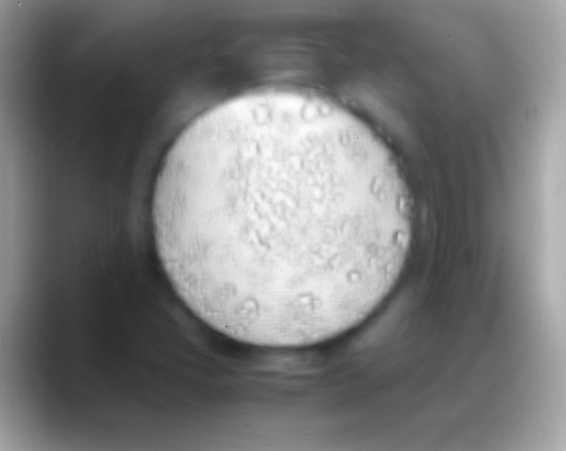 X0000088151405200706041346