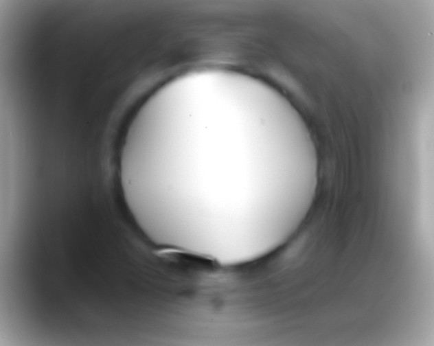 X0000088151406200706041346