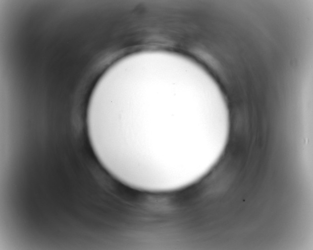 X0000088151407200706041346